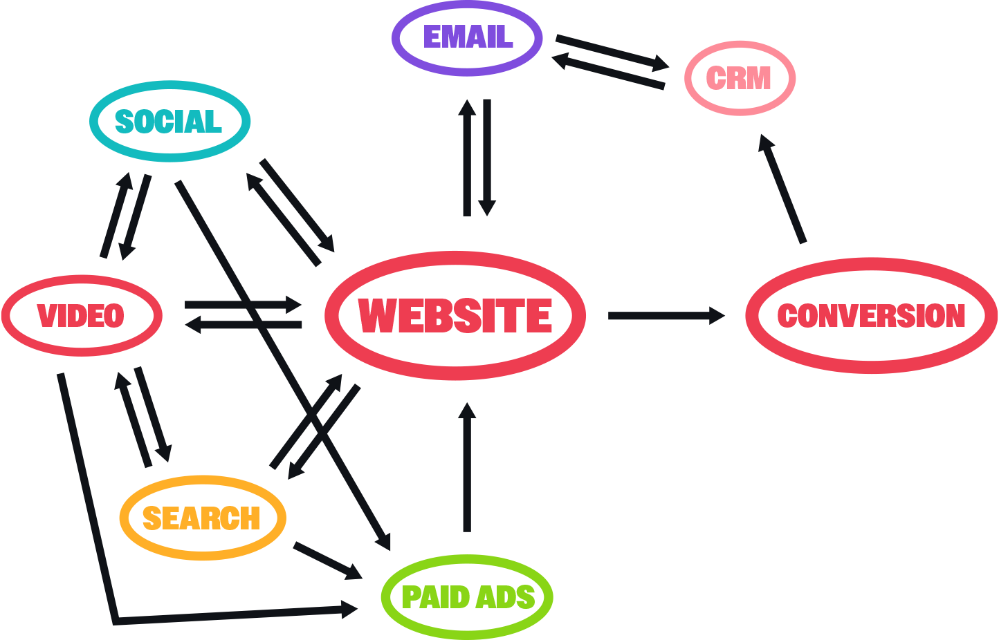 Web Design Services Role of a Website in digital Marketing Spider Web